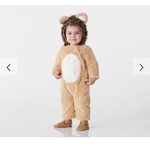 Pbk baby lion costume